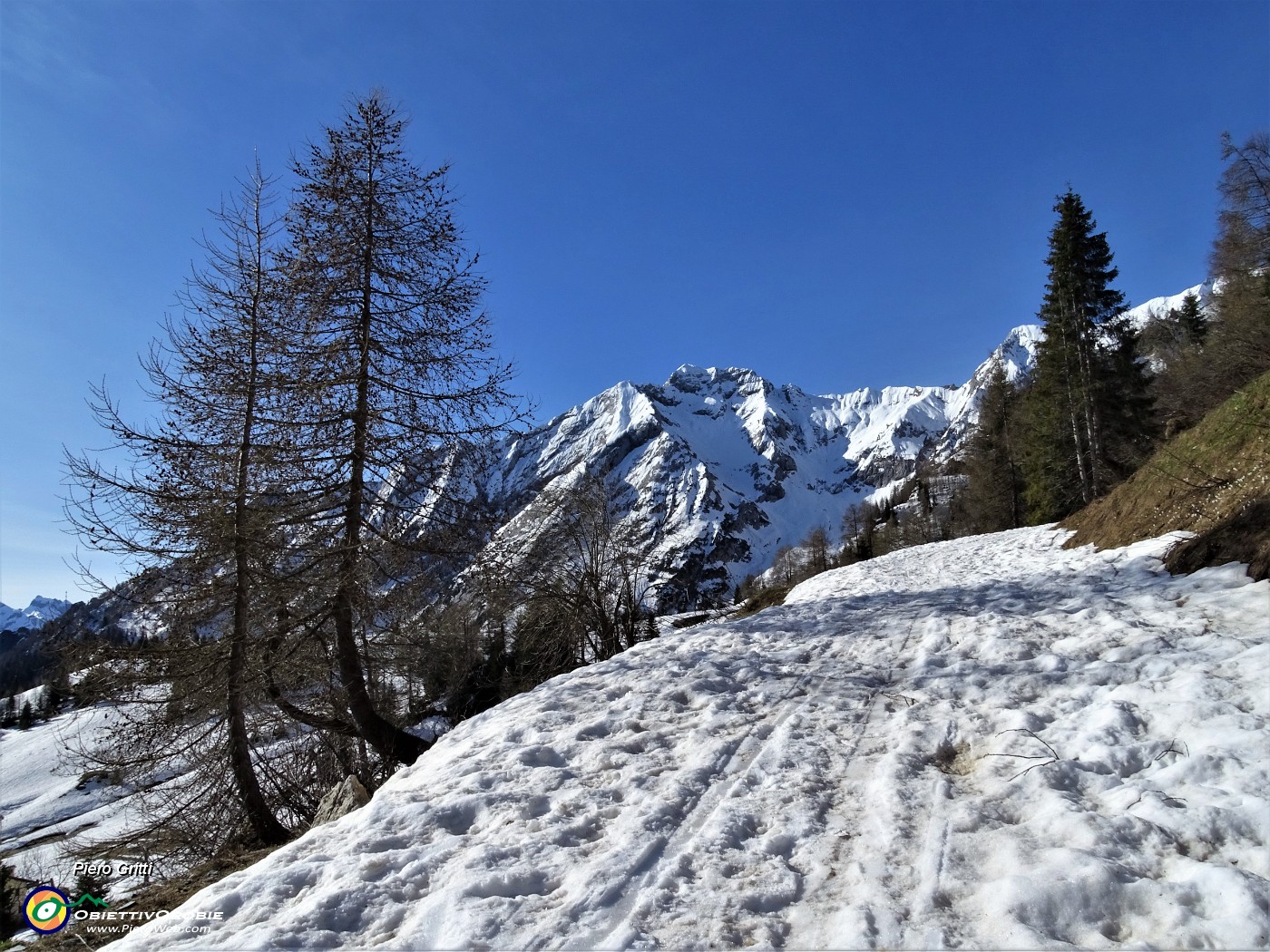 13 Da San Simone salgo alla Baita del Camoscio per prati con neve e fiori e per stradetta ancora innevata.JPG